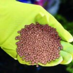 Азотные удобрения для эффективного земледелия