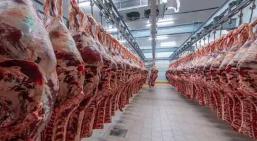 Rabobank: світовий попит на яловичину слабшатиме
