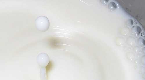 Молоко дешевшає через зниження попиту з початком Великого посту