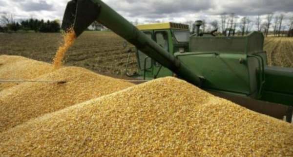 ЄС запровадить мита на зерно з рф та білорусі