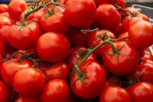 На українському ринку з’явились перші партії місцевих тепличних помідорів