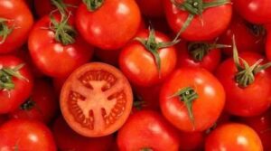 Через низький попит виробники змушені знижувати ціни на помідори