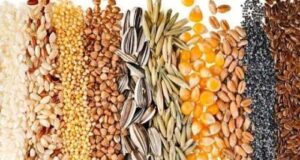 В Мінагрополітики обговорили розширення переліку насіння, яке можна експортувати до ЄС