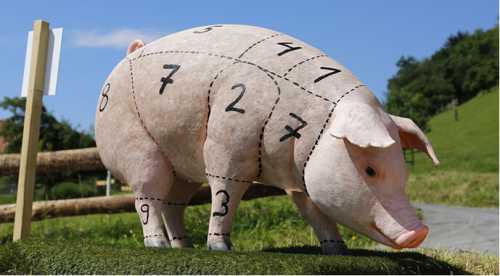 Закупівельні ціни на свинину опустилися нижче 50 грн/кг