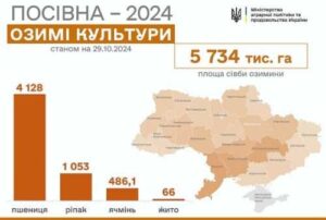 Посівна-2024: засіяно 5,7 млн га озимих культур