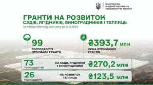 З початку року аграрії отримали майже 400 млн грн на розвиток садівництва