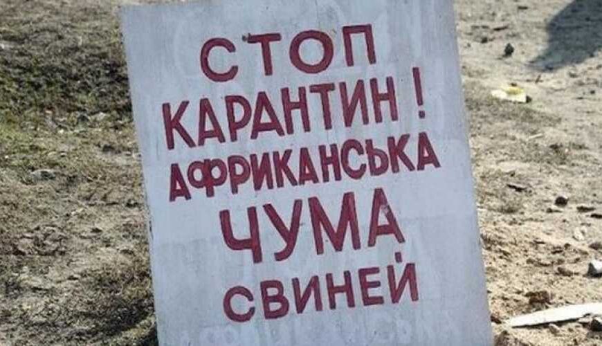 На Тернопольщине снова вспышка АЧС