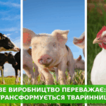 Животноводство трансформируется, промышленных ферм становится больше, домохозяйств меньше