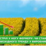 Экспортные пошлины на масличные могут спровоцировать нисходящий тренд в производстве рапса