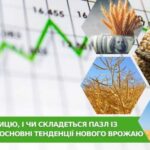 Тенденции нового урожая: давление на пшеницу, и сложится ли пазл с кукурузой