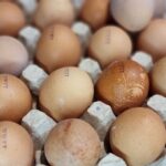 Навіщо досвідчені дачники закопують під корінь яйце: застрибаєте від щастя, зрозумівши, навіщо це потрібно