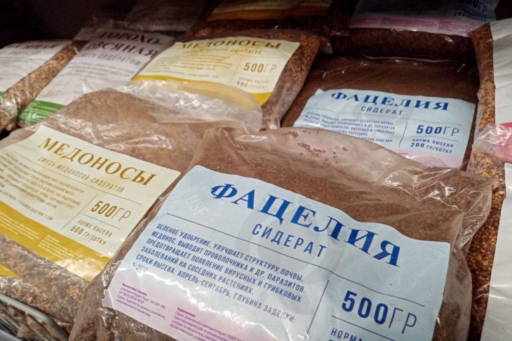 Що садити у теплиці після збирання врожаю: рішення для просунутих дачників Сидераты