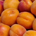 Чому абрикос цвіте, але не плодоносить: у який весняний день гине 90% урожаю через заморозки