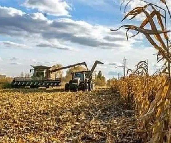 Ціна тонни експорту української агропродукції збільшується, – міністр