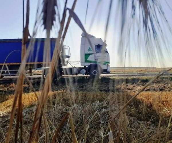 Якими шляхами торує українська агропродукція