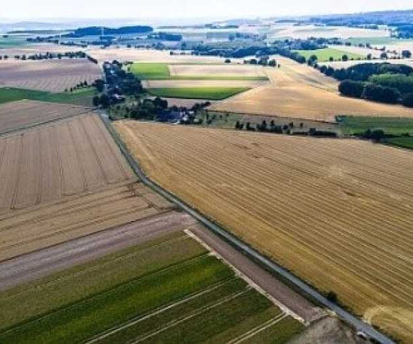 Оренда сільгоспземель: що змінилося під час воєнного стану