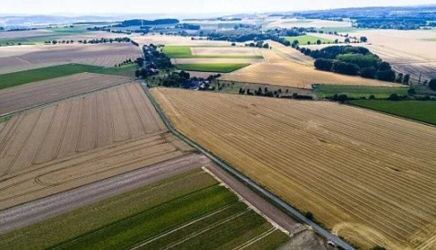 Оренда сільгоспземель: що змінилося під час воєнного стану