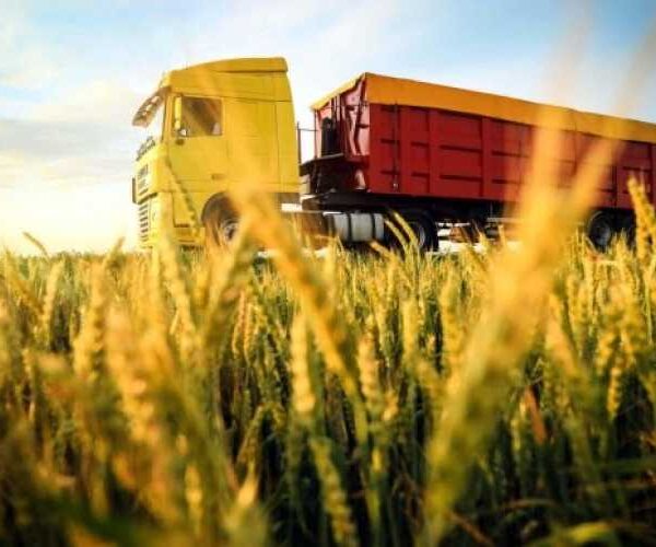 З початком весни агроекспорт автотранспортом активізувався