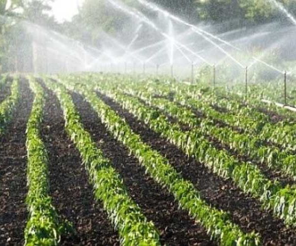 В Україні затвердили довгостроковий план розвитку іригації до 2050 року