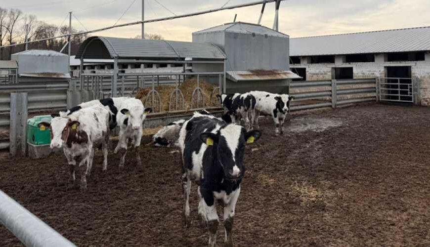 Минагрополитики разработает типовую комплексную модель&hellip;