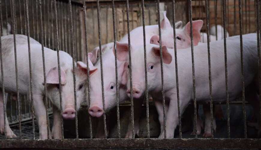 В настоящее время Украина не&hellip;