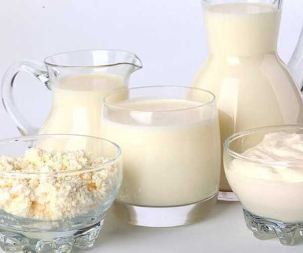 Невозможность выйти на международные рынки с новыми продуктами ограничивает развитие производства молока