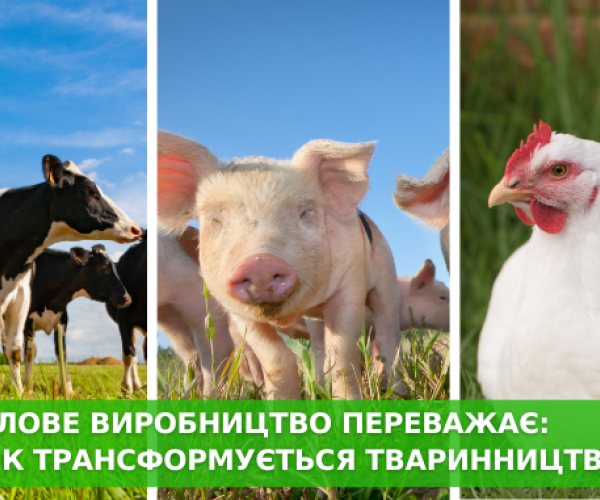 Животноводство трансформируется, промышленных ферм становится больше, домохозяйств меньше
