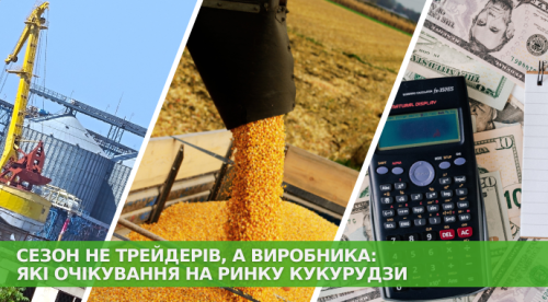 Цього року кукурудзи буде багато, але фермери не поспішатимуть її продавати.
