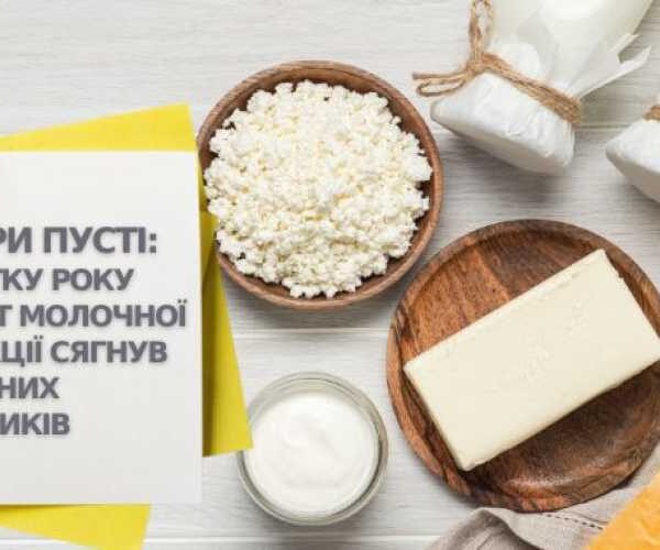 С начала года экспорт молочной продукции из Украины достиг рекордных показателей