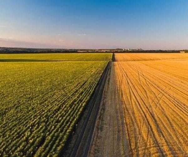 Мінагрополітики проведе навчальний вебінар з використання Державного аграрного реєстру