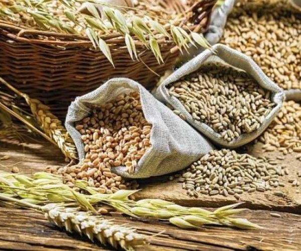 Зниження цін на зернові та олійні: що відбувається на ринку