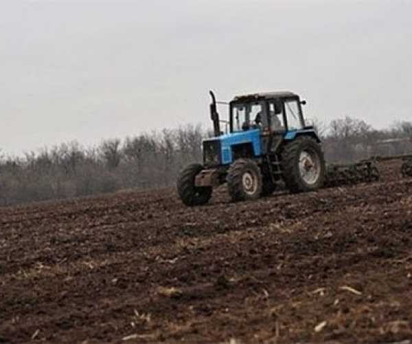 Весняна посівна-2025: засіяно понад 550 тис. га