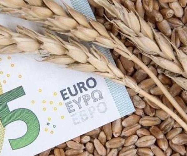 Експорт агропродукції з України до сусідніх країн ЄС скоротився на 43%