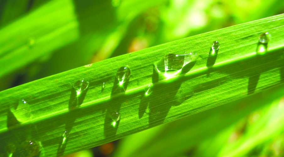 Ученые изобрели инновационный метод, который уменьшает химическую нагрузку на окружающую среду