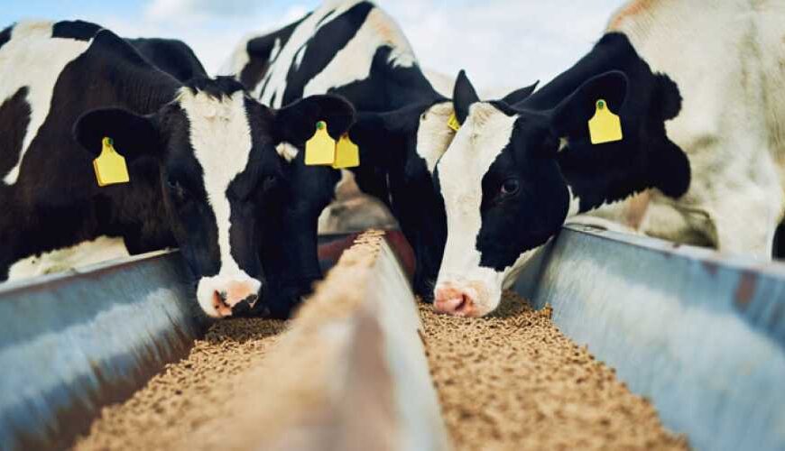 Украина с начала года экспортировала&hellip;