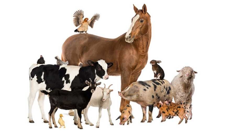 1 марта 2026 года вступит…