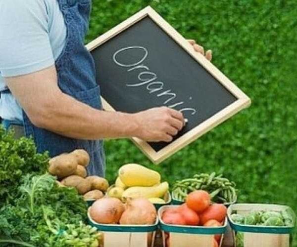 Кабмін схвалив оновлений законопроєкт про органічну продукцію