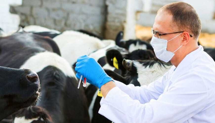 Рада поддержала законопроект о переходе&hellip;