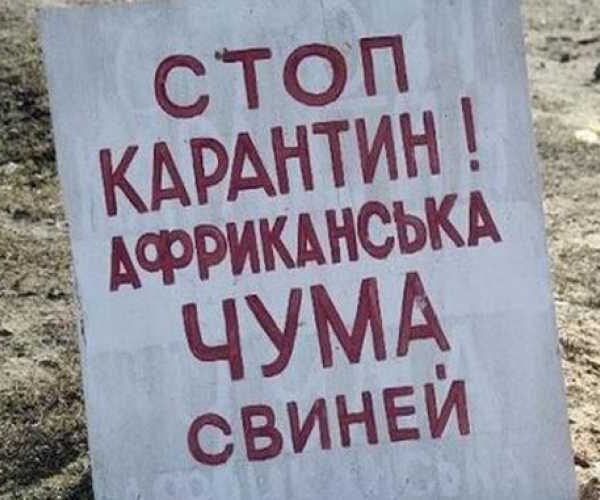 На Тернопольщине снова вспышка АЧС