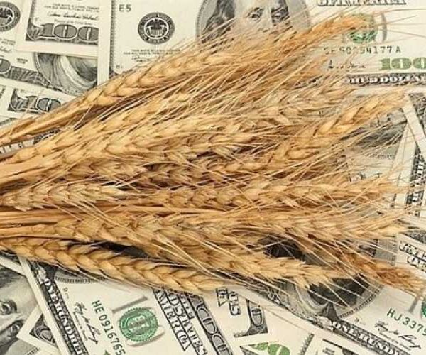Ціни на пшеницю зростають: аграрії не поспішають продавати зерно