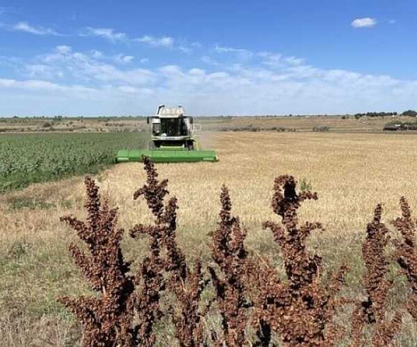 Фермерам обіцяють нову хвилю держпідтримки