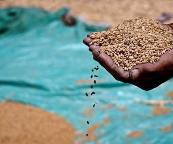 Україна відправила понад 280 тисяч тонн продовольства в межах Grain from Ukraine