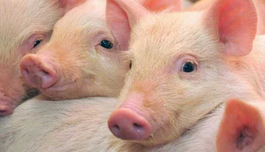 Украина предложила Китаю признавать регионализацию&hellip;