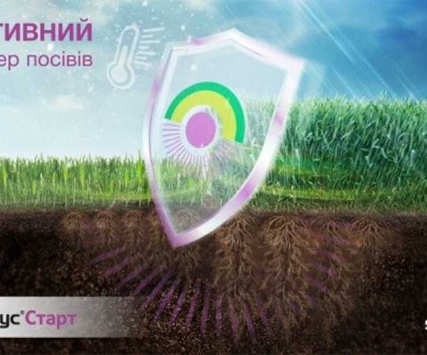 Значення рістрегуляторів для продуктивності зернових культур — журнал Пропозиція