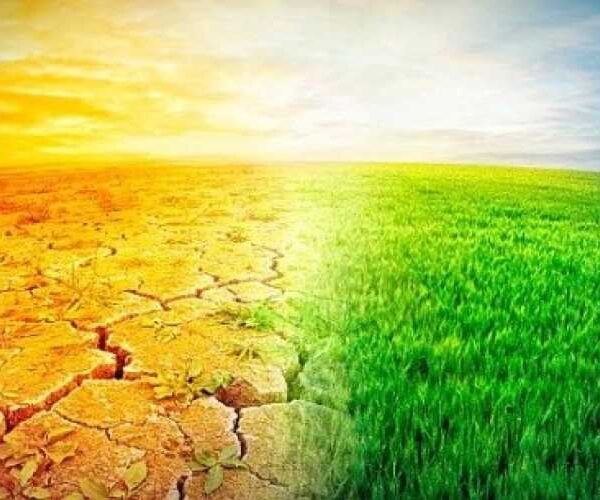 Глобальне потепління може обвалити світову економіку на 40%