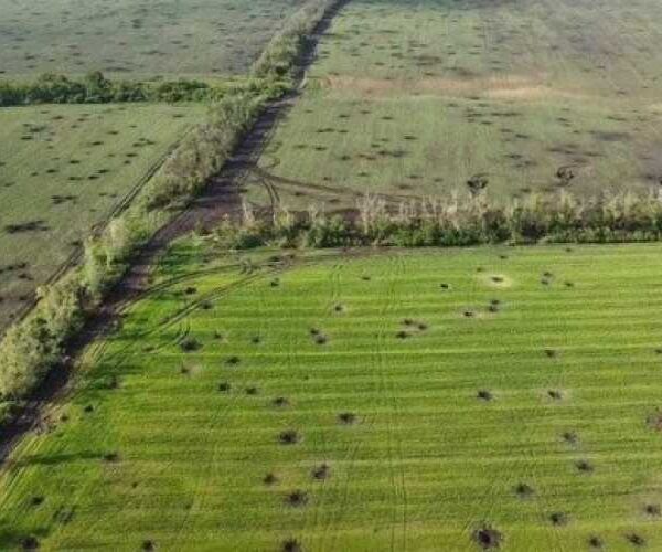 Україна втратила близько 20 % площ орних земель