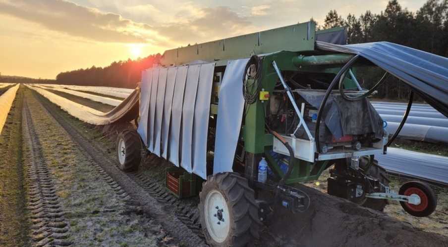 Из-за нехватки сезонных работников во Франции спаржу будет собирать роботизированная машина