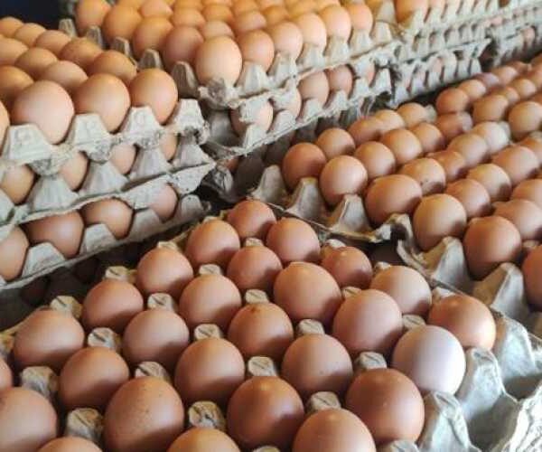 Яйца в Украине за месяц подешевели на 5%