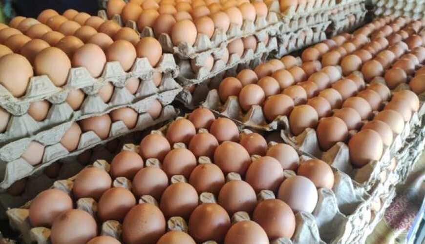 Яйца в Украине за месяц…