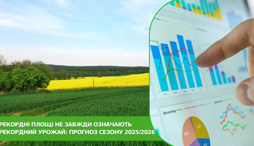 Аналитика: площади, урожай, цены, экспорт…